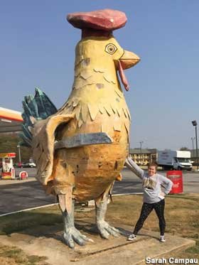 chotot gà đá tphcm chotot gà đá tphcm