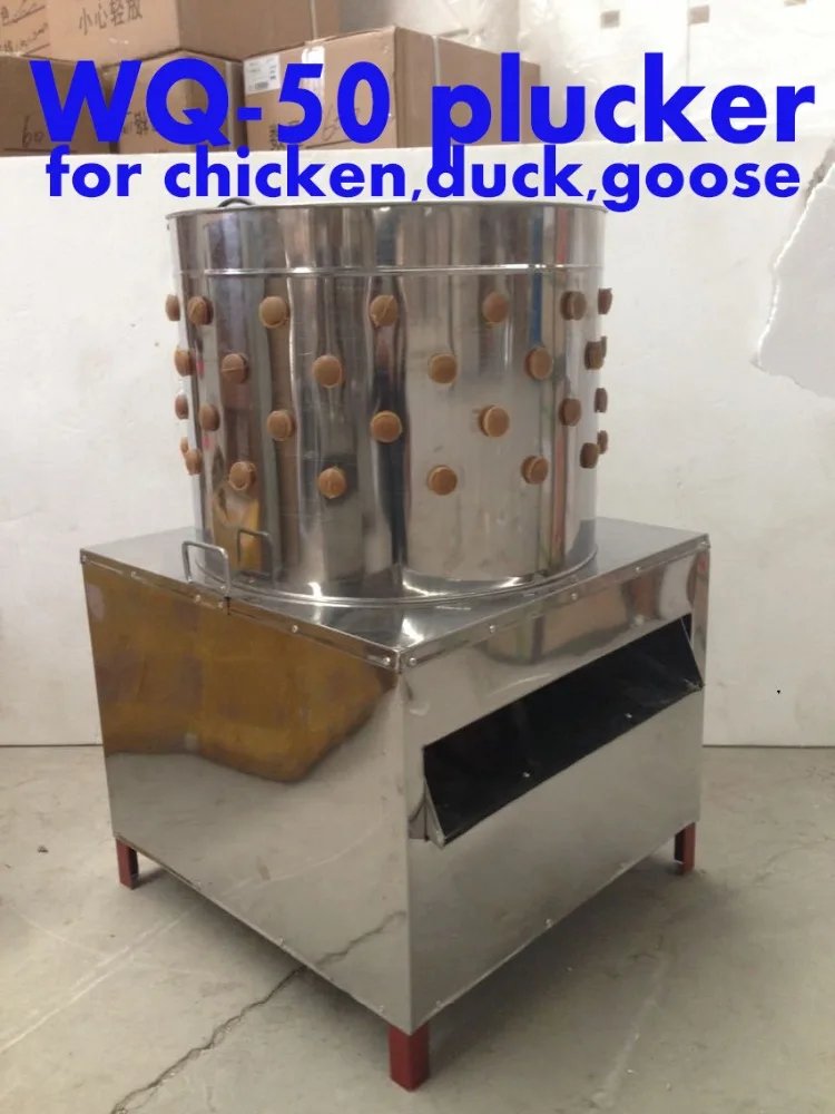 gà nòi đá cựa sắt gà nòi đá cựa sắt