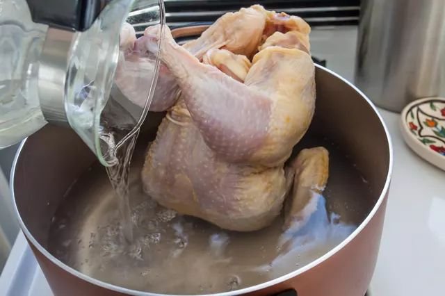 cách tỉa lông gà đá cựa sắt cách tỉa lông gà đá cựa sắt