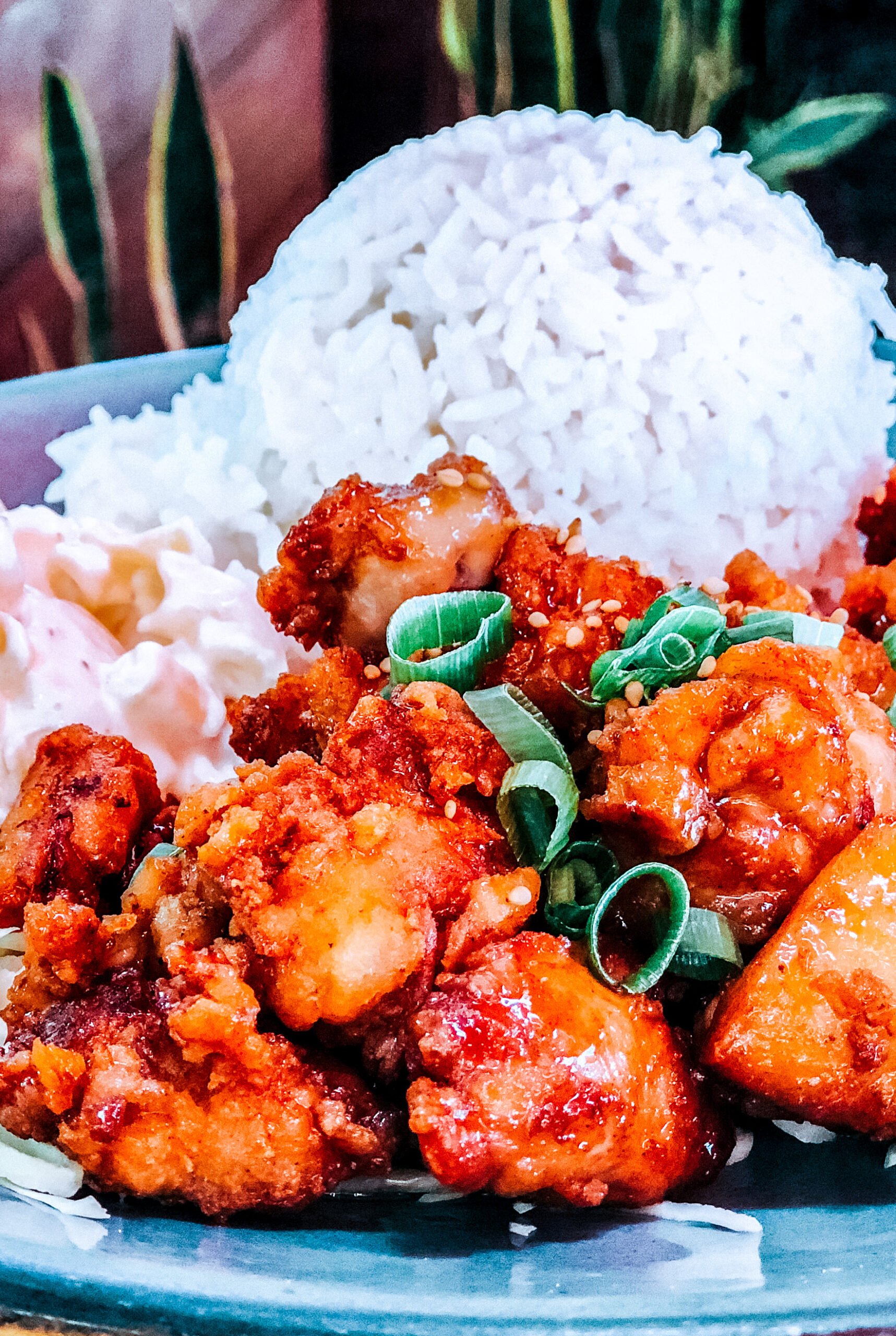 gà đá hầm xã võ văn kiệt gà đá hầm xã võ văn kiệt
