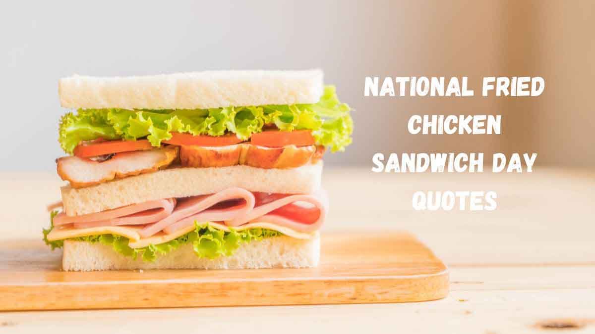 gà đá cựa sắt mới nhất
