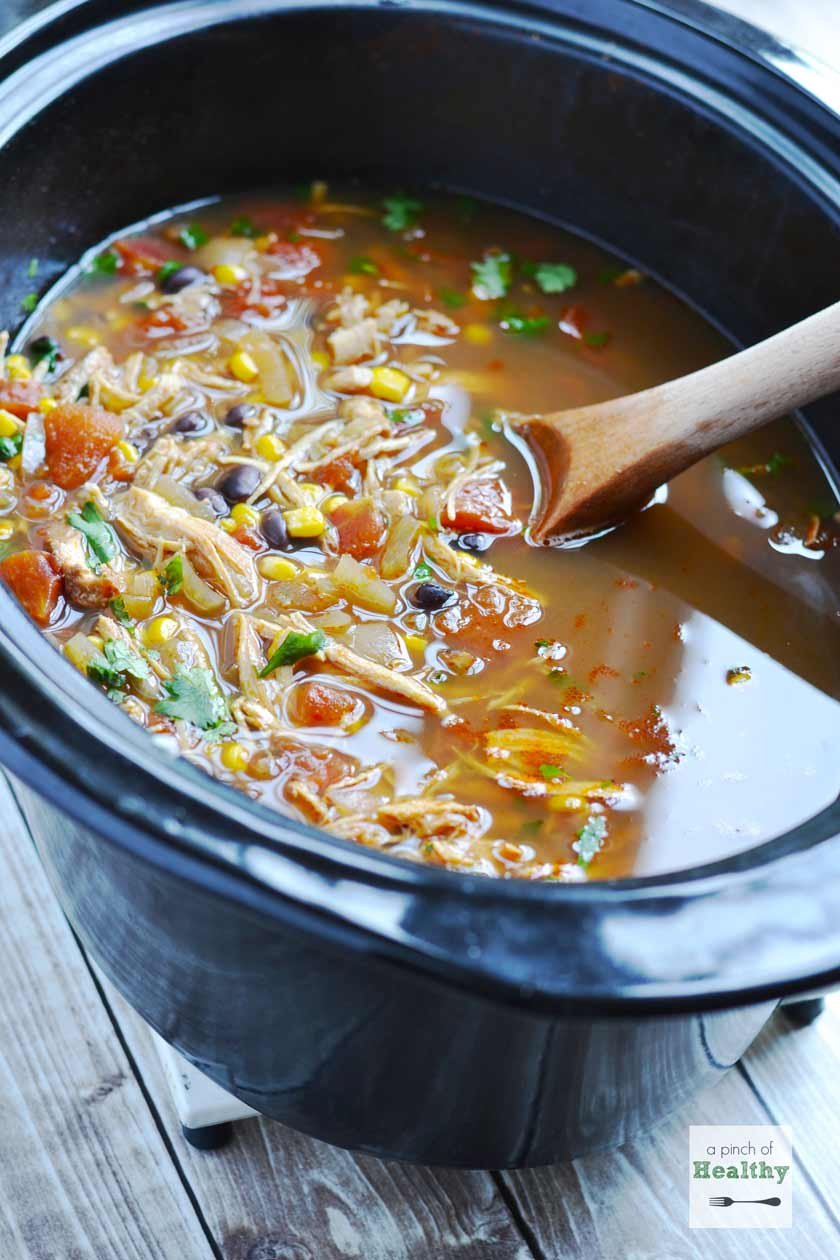 trực tiếp đá gà thomo ngày hôm nay