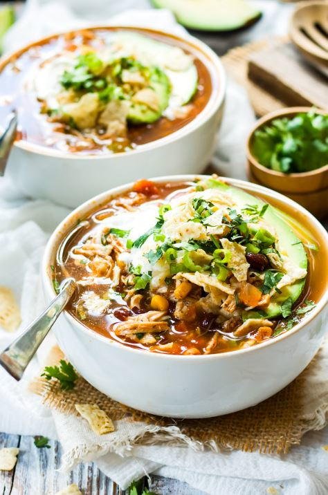 gà đá việt nam gà đá việt nam