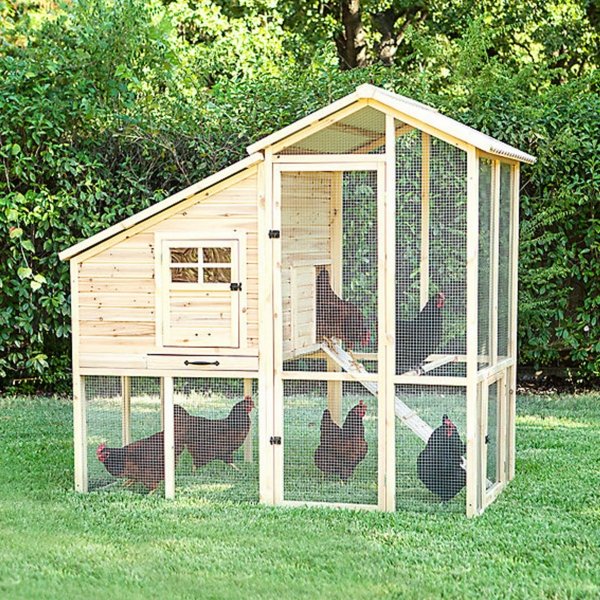 đá gà thomo trực tiếp hôm nay đá gà thomo trực tiếp hôm nay