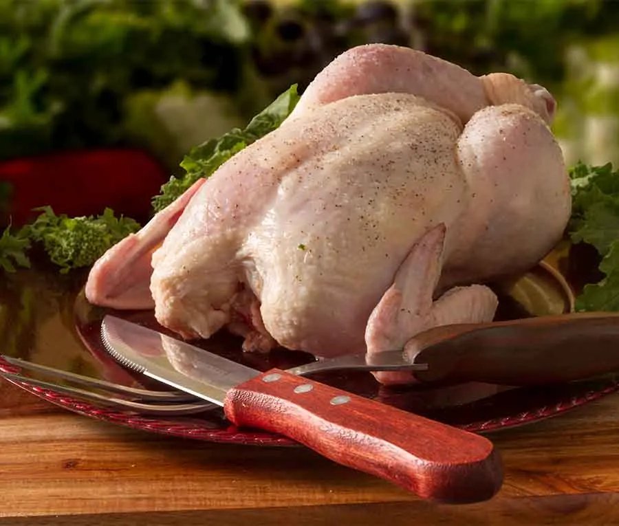 đá gà cựa thái lan đá gà cựa thái lan