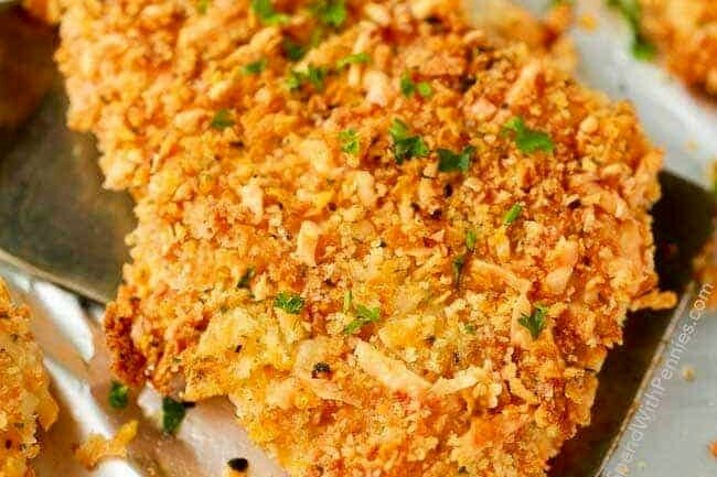 đá gà thomo mới nhất 2019 đá gà thomo mới nhất 2019
