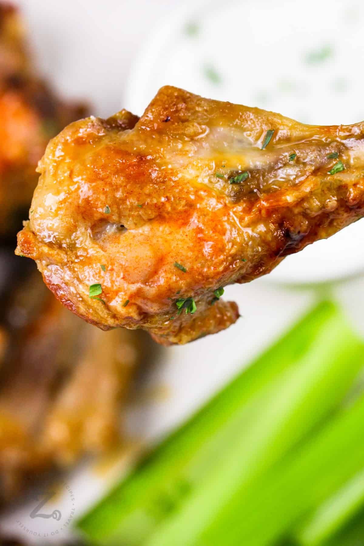 đá gà cựa sắt tiền lớn