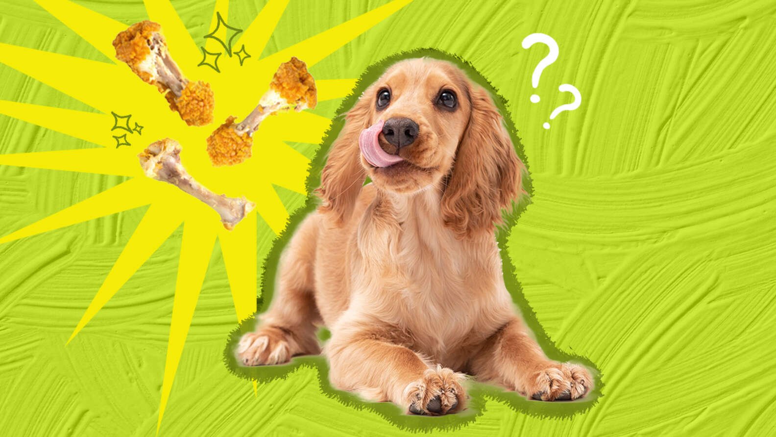 xem gà đá cựa sắt việt nam xem gà đá cựa sắt việt nam