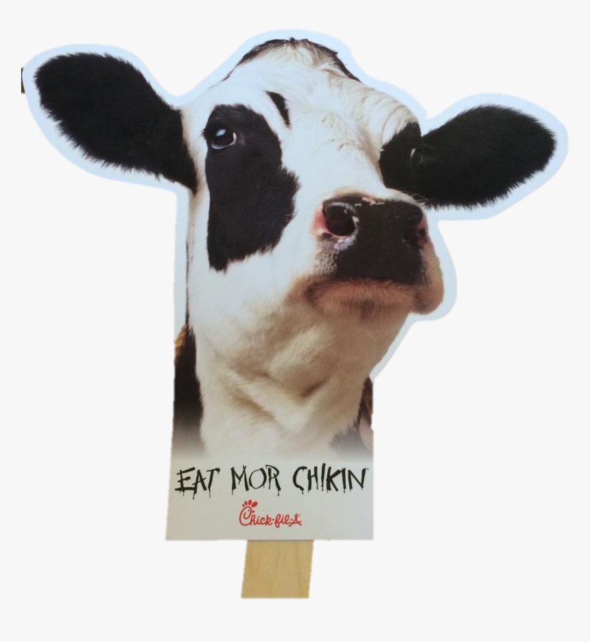 đá gà đòn cáo đá gà đòn cáo