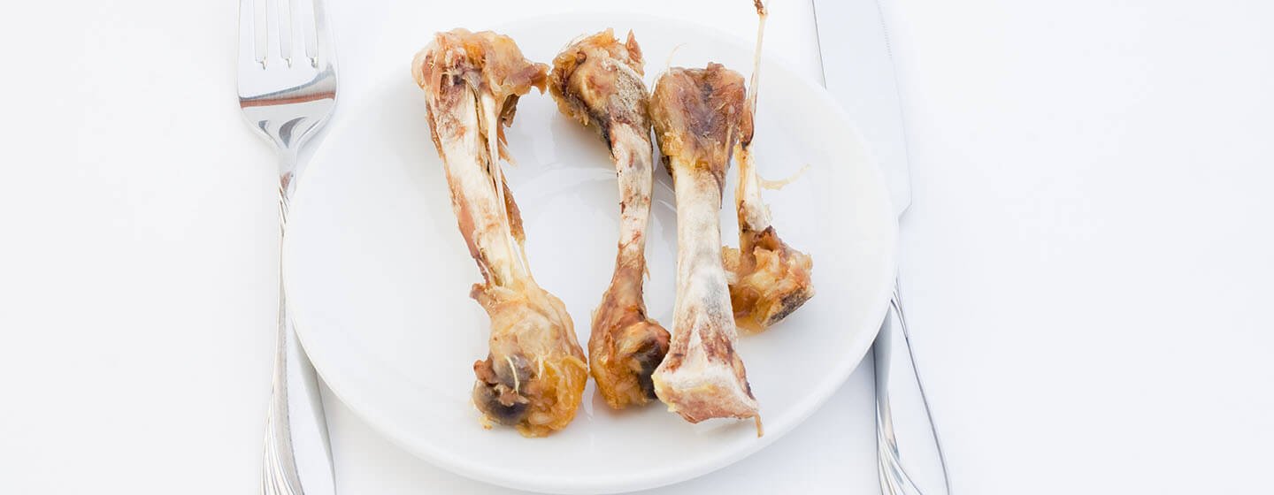 chợ tốt gà đá cần thơ chợ tốt gà đá cần thơ